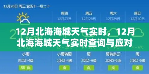 12月北海海城天气实时情况及应对指南
