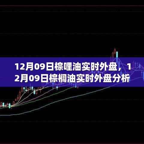 12月09日棕榈油实时外盘分析与展望