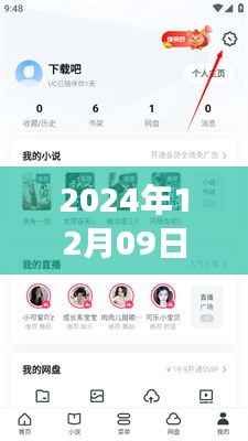 UC浏览器视频实时翻译功能,应用与展望(2024年视角)