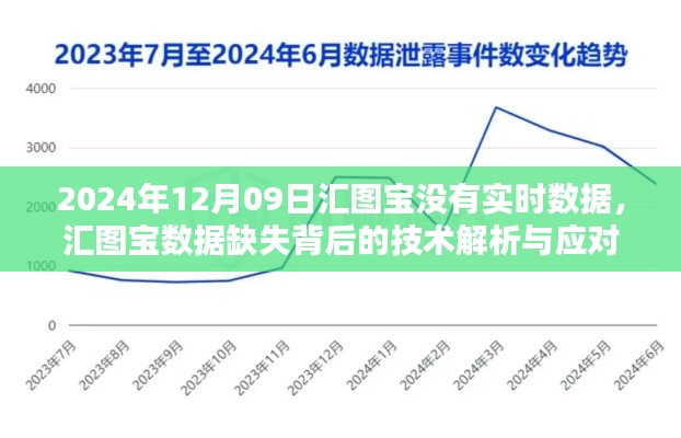 汇图宝数据缺失的技术解析与应对策略,实时数据缺失背后的探讨(2024年12月09日)