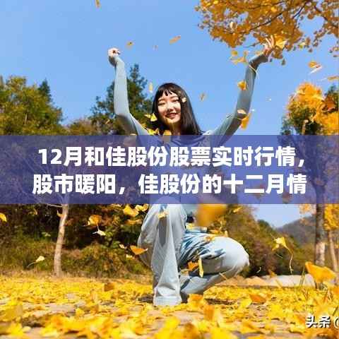 佳股份十二月股市行情,暖阳下的佳股份情缘实时追踪