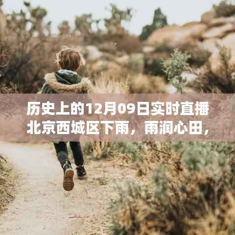 北京西城区雨中的力量,励志直播秀,雨润心田的历史时刻