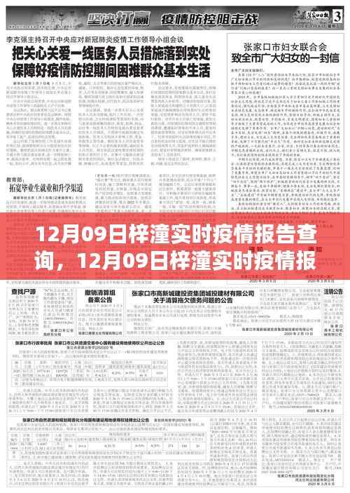 12月09日梓潼实时疫情报告查询,步骤指南与最新信息
