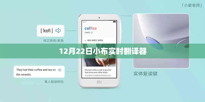 小布实时翻译器,最新动态与功能解析