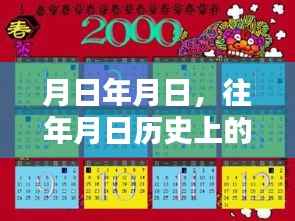 台风鹦鹉直播回顾,历史时刻与实时播报