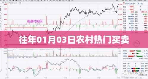农村交易热点,历年一月初三大宗交易概览
