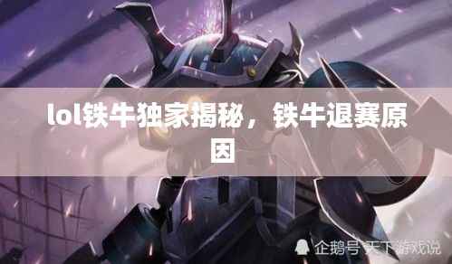 lol铁牛独家揭秘,铁牛退赛原因