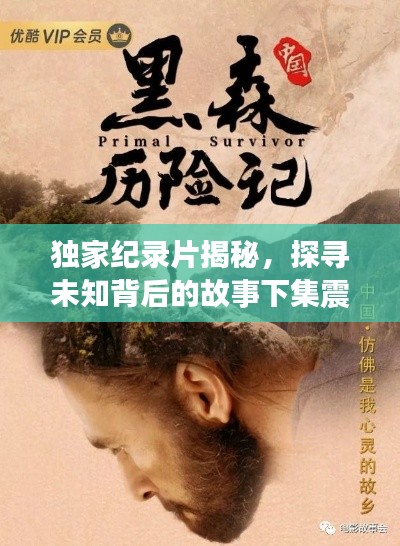 独家纪录片揭秘,探寻未知背后的故事下集震撼来袭!