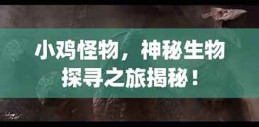 小鸡怪物,神秘生物探寻之旅揭秘!
