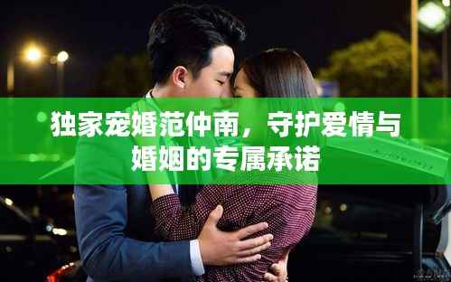 独家宠婚范仲南,守护爱情与婚姻的专属承诺
