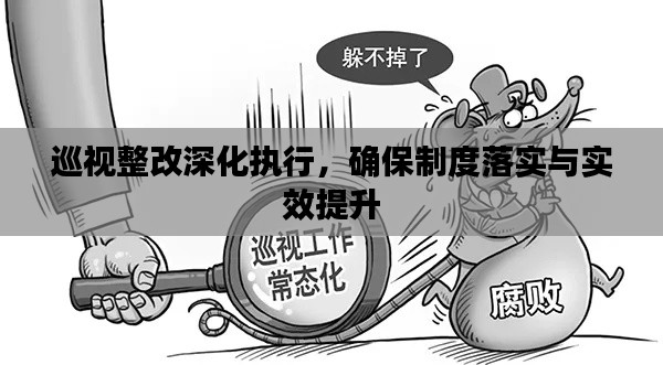 巡视整改深化执行,确保制度落实与实效提升