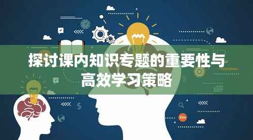 探讨课内知识专题的重要性与高效学习策略