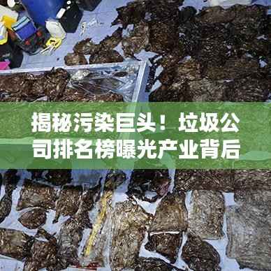 揭秘污染巨头！垃圾公司排名榜曝光产业背后的秘密