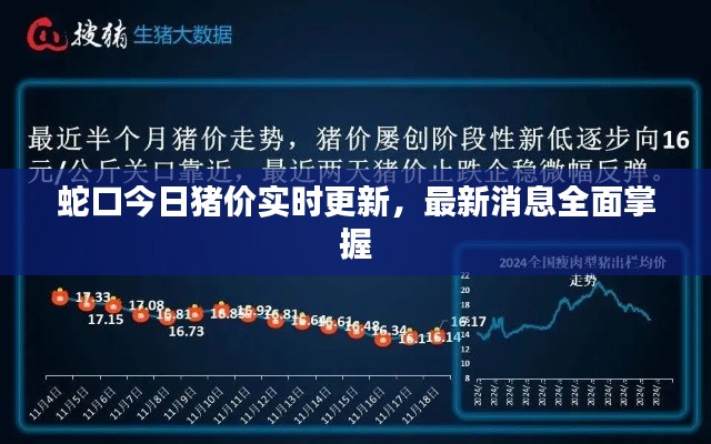 蛇口今日猪价实时更新,最新消息全面掌握