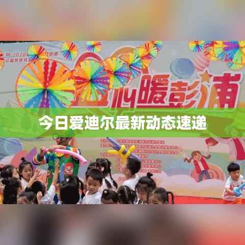 今日爱迪尔最新动态速递