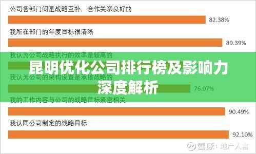 昆明优化公司排行榜及影响力深度解析