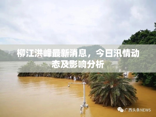 柳江洪峰最新消息,今日汛情动态及影响分析