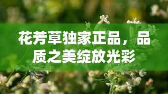 花芳草独家正品,品质之美绽放光彩