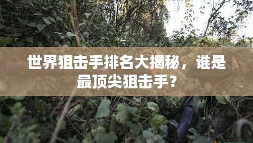 世界狙击手排名大揭秘,谁是最顶尖狙击手?