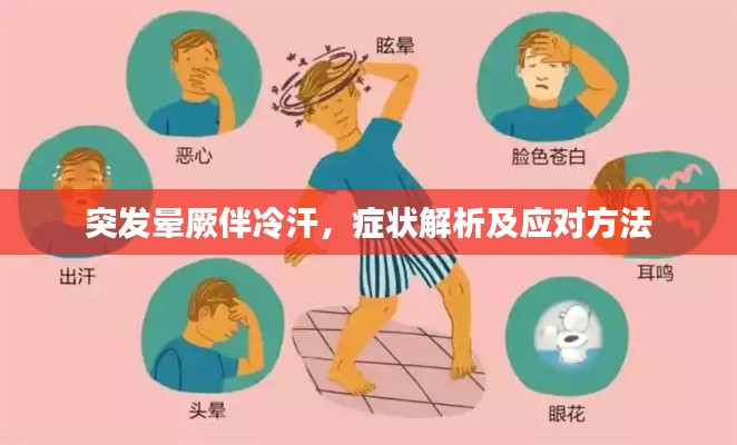 突发晕厥伴冷汗,症状解析及应对方法