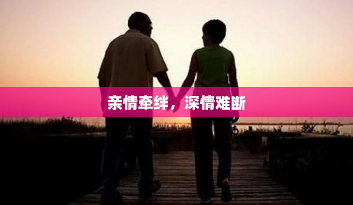 亲情牵绊,深情难断