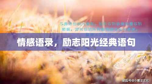 情感语录,励志阳光经典语句