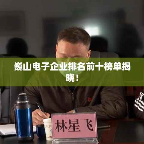 巍山电子企业排名前十榜单揭晓!