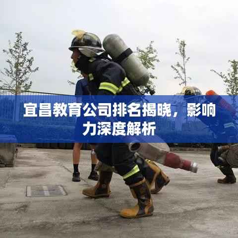 宜昌教育公司排名揭晓,影响力深度解析