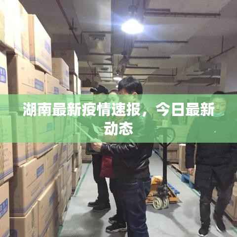 湖南最新疫情速报，今日最新动态