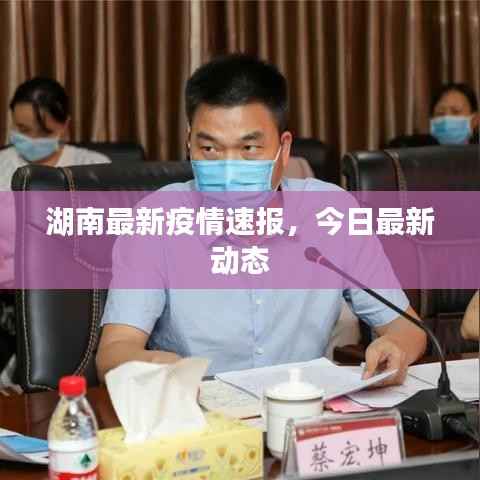 湖南最新疫情速报,今日最新动态
