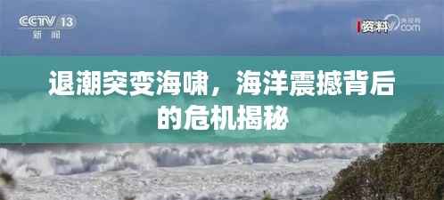 退潮突变海啸,海洋震撼背后的危机揭秘