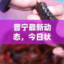 普宁最新动态,今日状态及消息一览