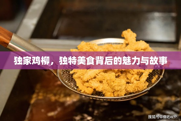 独家鸡柳,独特美食背后的魅力与故事