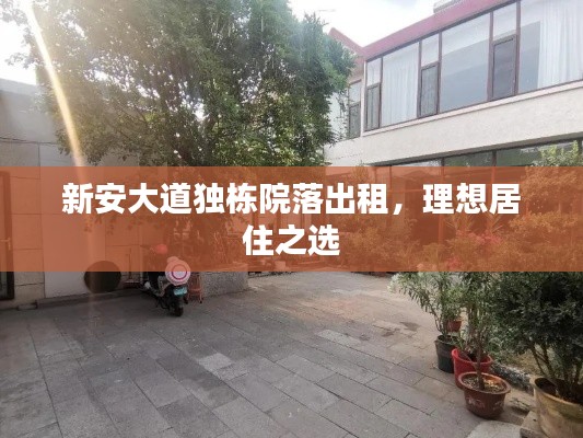 新安大道独栋院落出租,理想居住之选