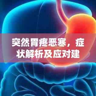 突然胃疼恶寒,症状解析及应对建议