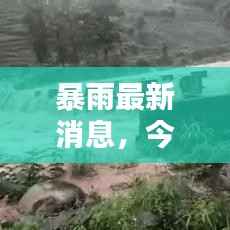 暴雨最新消息,今日天气动态更新通知