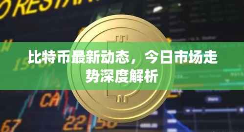 比特币最新动态,今日市场走势深度解析