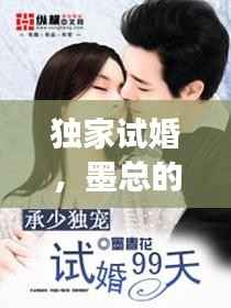 独家试婚,墨总的独特体验之旅