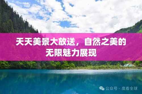 天天美景大放送,自然之美的无限魅力展现
