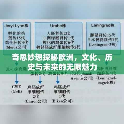 奇思妙想探秘欧洲,文化、历史与未来的无限魅力