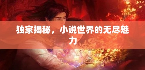 独家揭秘,小说世界的无尽魅力