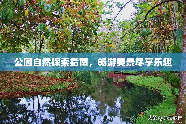 公园自然探索指南,畅游美景尽享乐趣