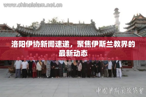 洛阳伊协新闻速递,聚焦伊斯兰教界的最新动态