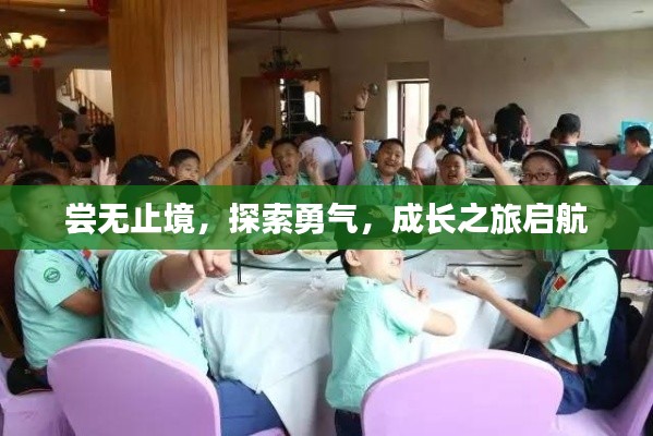 尝无止境,探索勇气,成长之旅启航