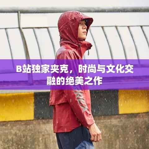 B站独家夹克,时尚与文化交融的绝美之作